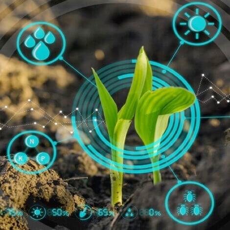 Digital Agriculture is the Future
