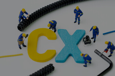 CX Consulting