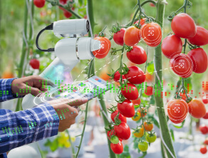 Robotics in Pest Control in Agriculture.