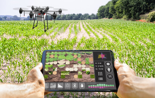 Understanding Agritech: The Future of Agriculture Technology.