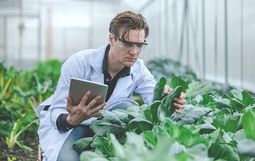 Role of Data Science in Agriculture and Agriculture Analytics.