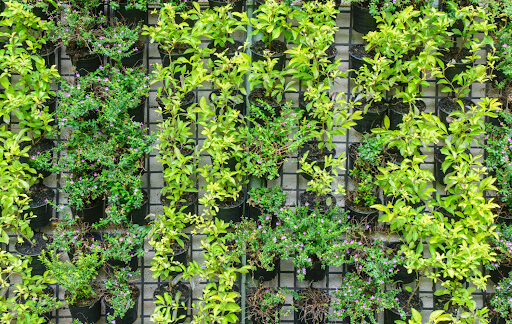 Vertical Farming and Its Future Scope.