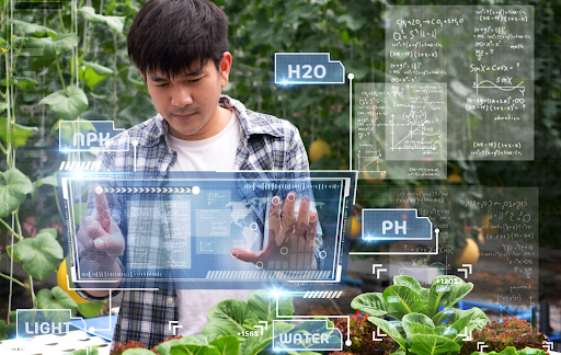Extended Reality (XR) in Agriculture.