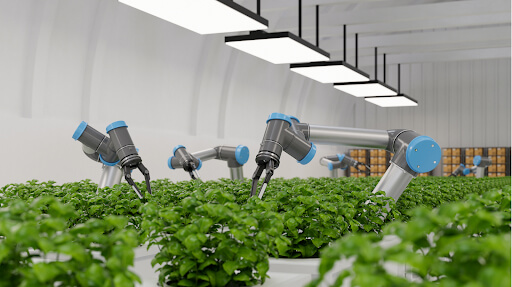 Agricultural Robots: Reshaping the Future of Robotic Farming.