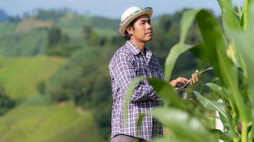 Sustainable Farming-A Deep Dive into Agriculture Sustainability.