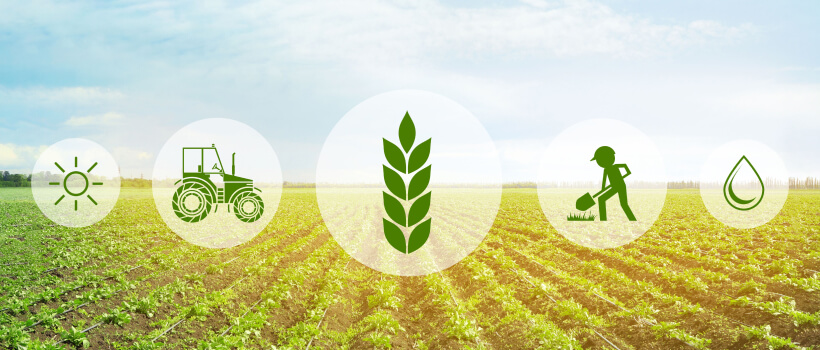 Water Management Software in Agritech.