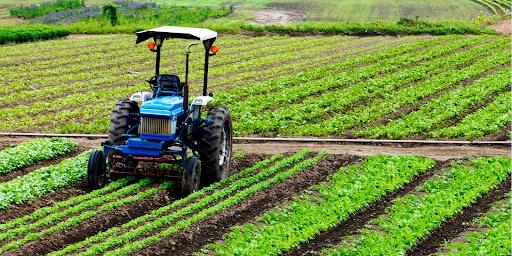 All You Need to Know About Mechanized Farming.