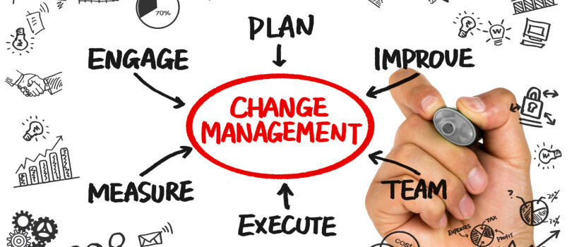 Organizational Change Management.