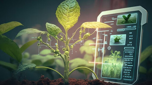 Agritech Innovations We Can Expect in 2024 and Beyond.