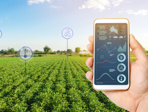 Agri input companies