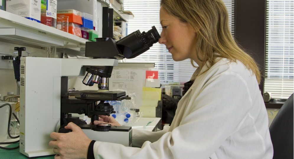 MANN-HUMMEL News Image