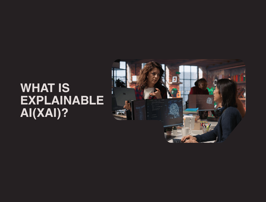 Explainable AI